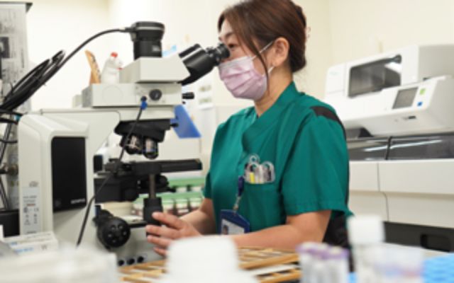 13:00 午後の業務開始